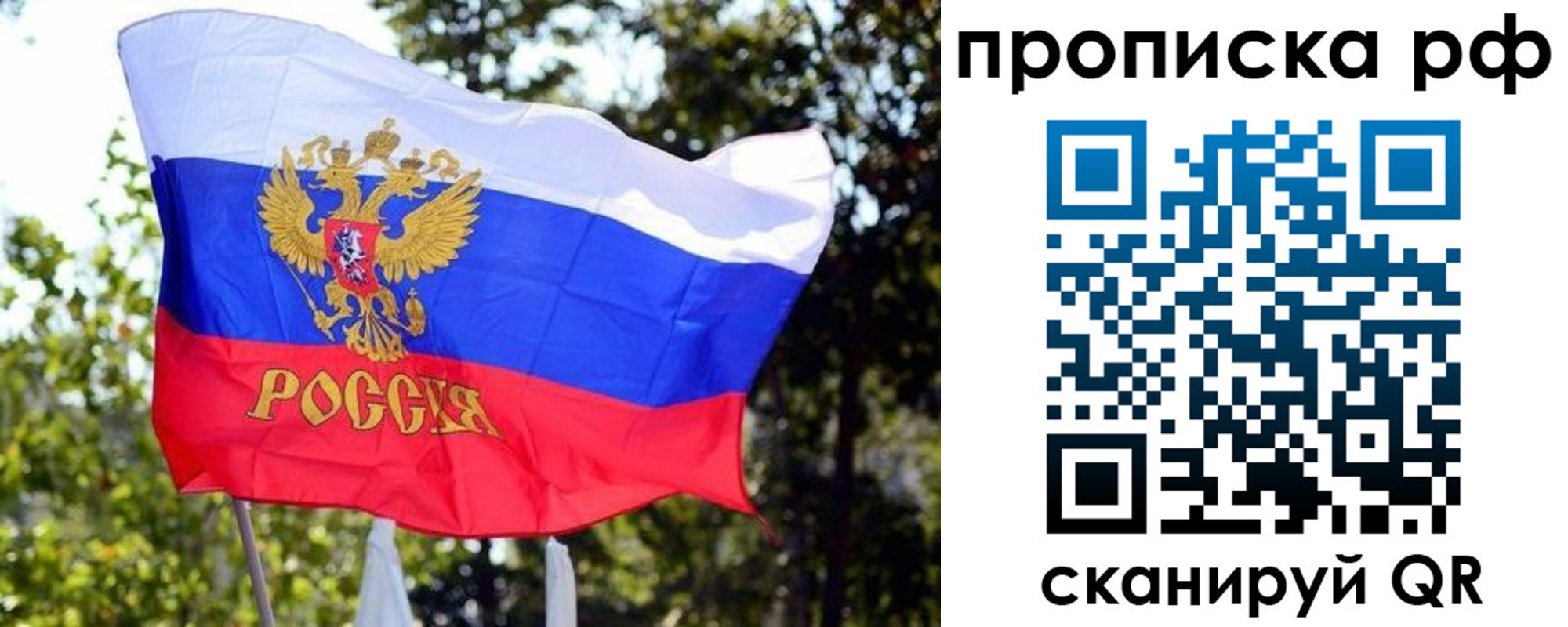 временная регистрация надежно в Апатитах